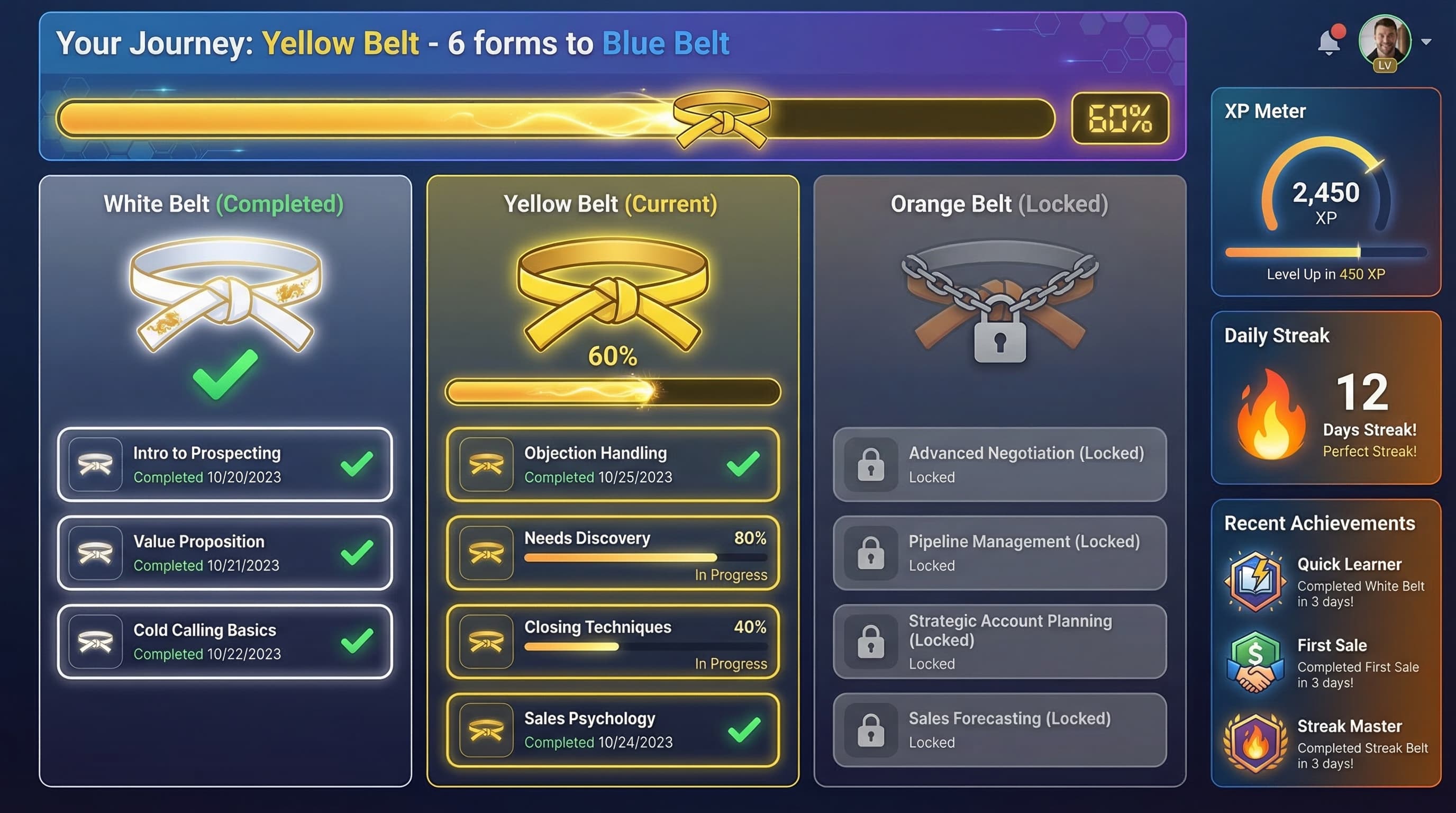 Gamified belt progression system